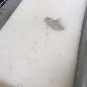 芋泥椰浆 Yam Paste w/ Coconut milk 