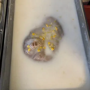 芋泥椰浆 Yam Paste w/ Coconut milk 