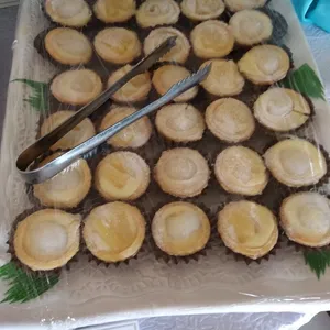 Mini Fruit Tart