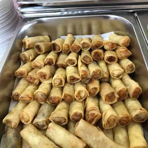 Spring Roll (V)
