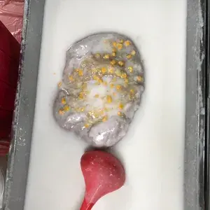 芋泥椰浆 Yam Paste w/ Coconut milk