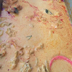 Curry Chicken • 咖哩鸡(Chef's Recommended)