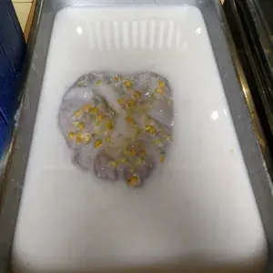 芋泥椰浆 Yam Paste w/ Coconut milk