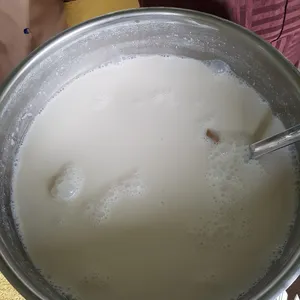 Hot bo bo cha cha 热嚤嚤喳喳