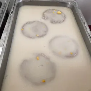 Sweetened Yam Paste with Gingko Nuts 白果椰汁芋泥