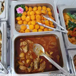 Curry Chicken w Potato 椰香咖喱鸡