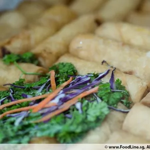 Golden Spring Roll