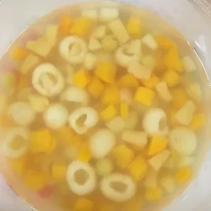 Longan w Mixed Fruit Cocktail 龙眼杂果