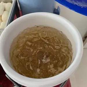 雪耳海底椰 Honey Sea Coconut w/ Fungus