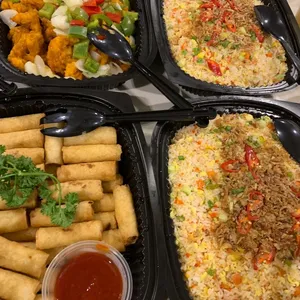 Veg Spring Roll