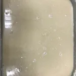 (Hot) Bo Bo Cha Cha 摩摩喳喳 (热)