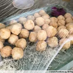 Deep Fried Fish Ball 炸鱼丸