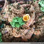 Cereal Prawn • 麦香虾(Chef's Recommended)