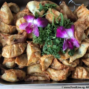 黄金锅贴 Fried Vegetable Gyoza