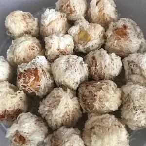 Squid Cheese Net Ball