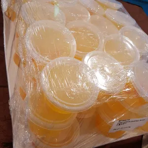 Agar Agar w Fruit Cocktail In Cup