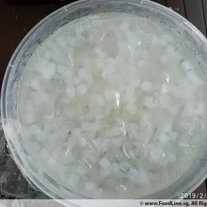 Nata De Coco with Aloe Vera