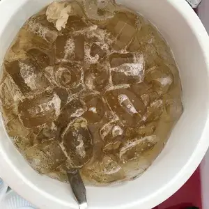 雪耳杞子海底椰 Honey Sea Coconut w/Fungus