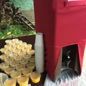 Mango Pudding