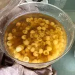 Honey Sea Coconut with Longan