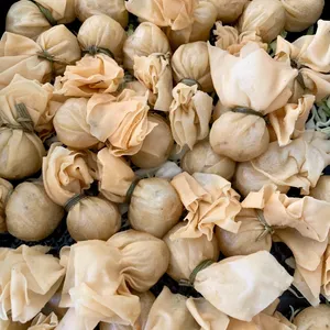 Money Bag and Lemongrass Skewers