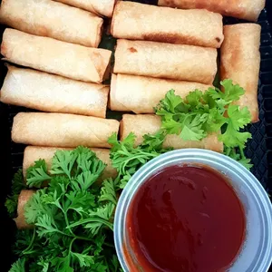 Veg Spring Roll