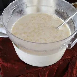 Honeydew Sago