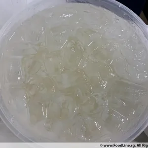 Nata De Coco with Aloe Vera
