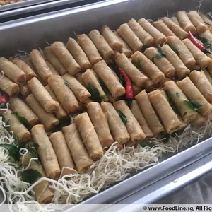 Vegetable Spring Roll 炸春卷