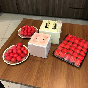 Happiness Ang Ku Kuehs