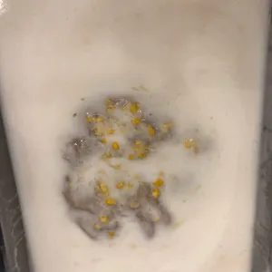芋泥椰浆 Yam Paste w/ Coconut milk 
