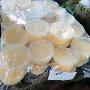 Mango Pudding