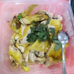 Salted Kampong Chicken 盐水菜园鸡