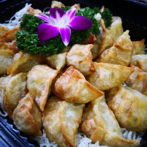 Vegetable Gyoza with Vinegar Dip