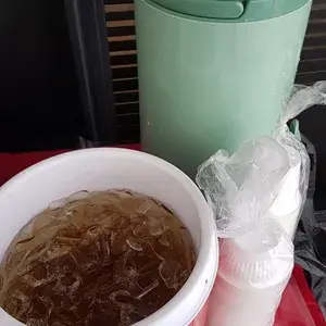 雪耳海底椰 Honey Sea Coconut w/ Fungus