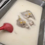 芋泥椰浆 Yam Paste w/ Coconut milk
