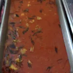咖哩鸡肉 Curry Chicken