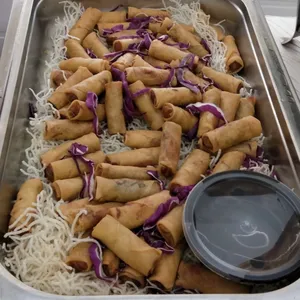 Vegetable Spring Roll
