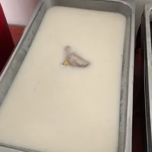 芋泥椰浆 Yam Paste w/ Coconut milk 