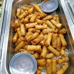 Vegetable Spring Roll