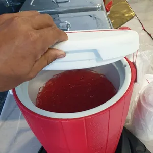 Fruit Punch • 果汁水