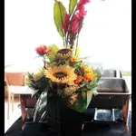 IMG_5973.JPG