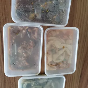 Meal Type: Lunch