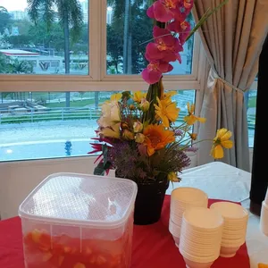 Watermelon Cocktail