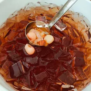 海底椰龙眼 Honey Sea Coconut w/ Longan