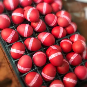 Good Luck Red Eggs