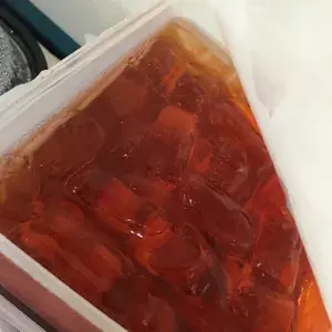 海底椰龙眼 Honey Sea Coconut w/ Longan
