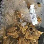 金皮云吞 Crispy Golden Wanton