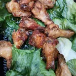 Oven Baked Honey Drumlet