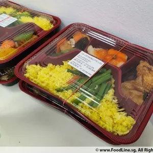 Teriyaki Chicken